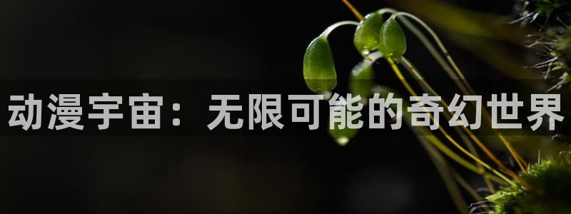 囧次元官方正版：动漫宇宙：无限可能的奇幻世界